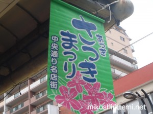 厚木市さつきまつり